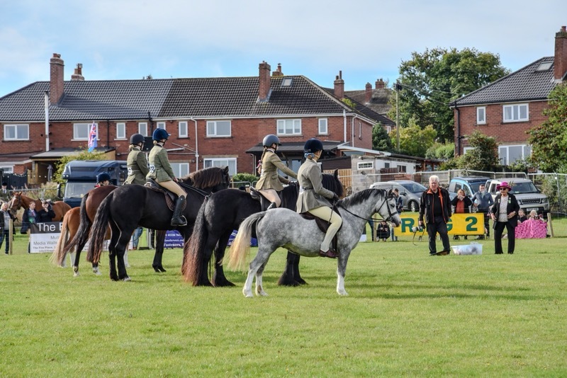 Other image for Thousands enjoy ‘celebration of farming’ at premier show